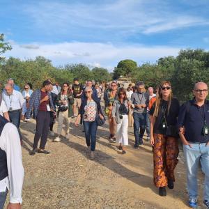 Visita alla Valle dei Templi di Agrigento