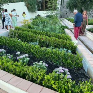 Salerno, Giardino della Minerva, le Erbe dei semplici