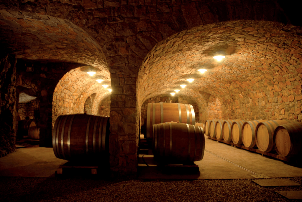 cantina zidarich